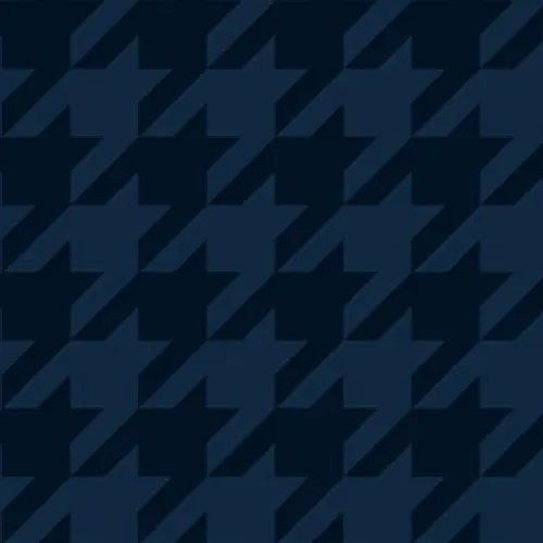 千鳥Sの柄アイコン